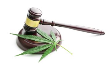 A marijuana leaf shown alongside a judge's gavel.