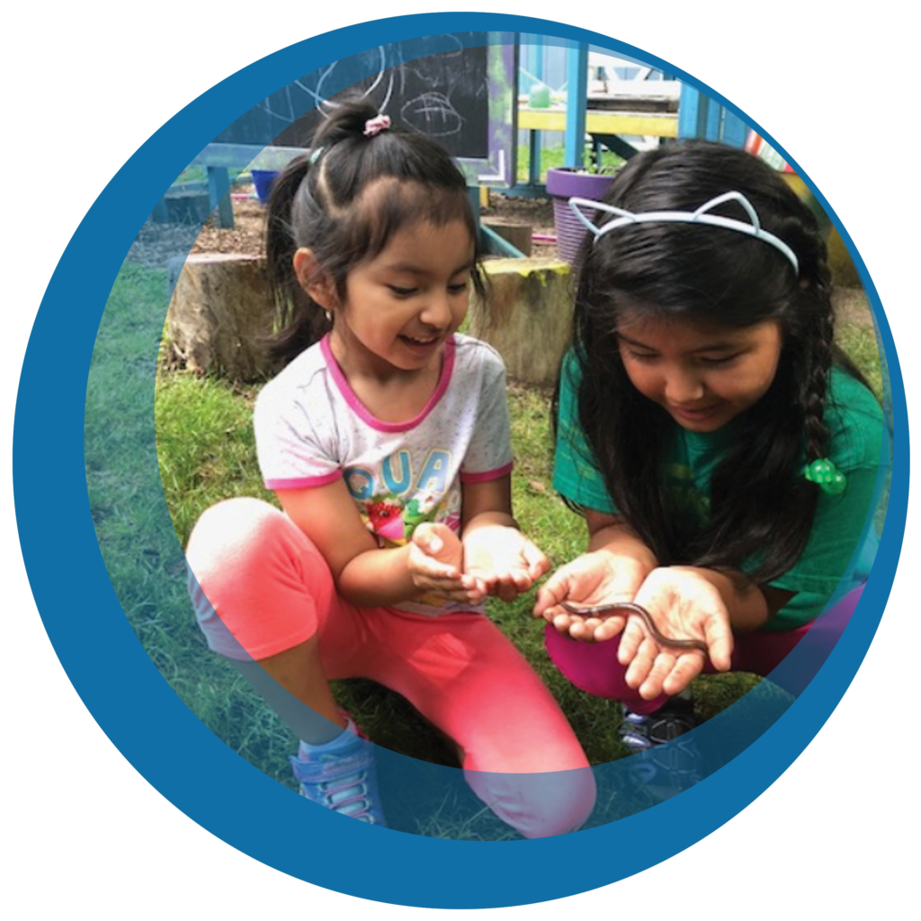 How Much Does Nonprofit Insurance Cost?