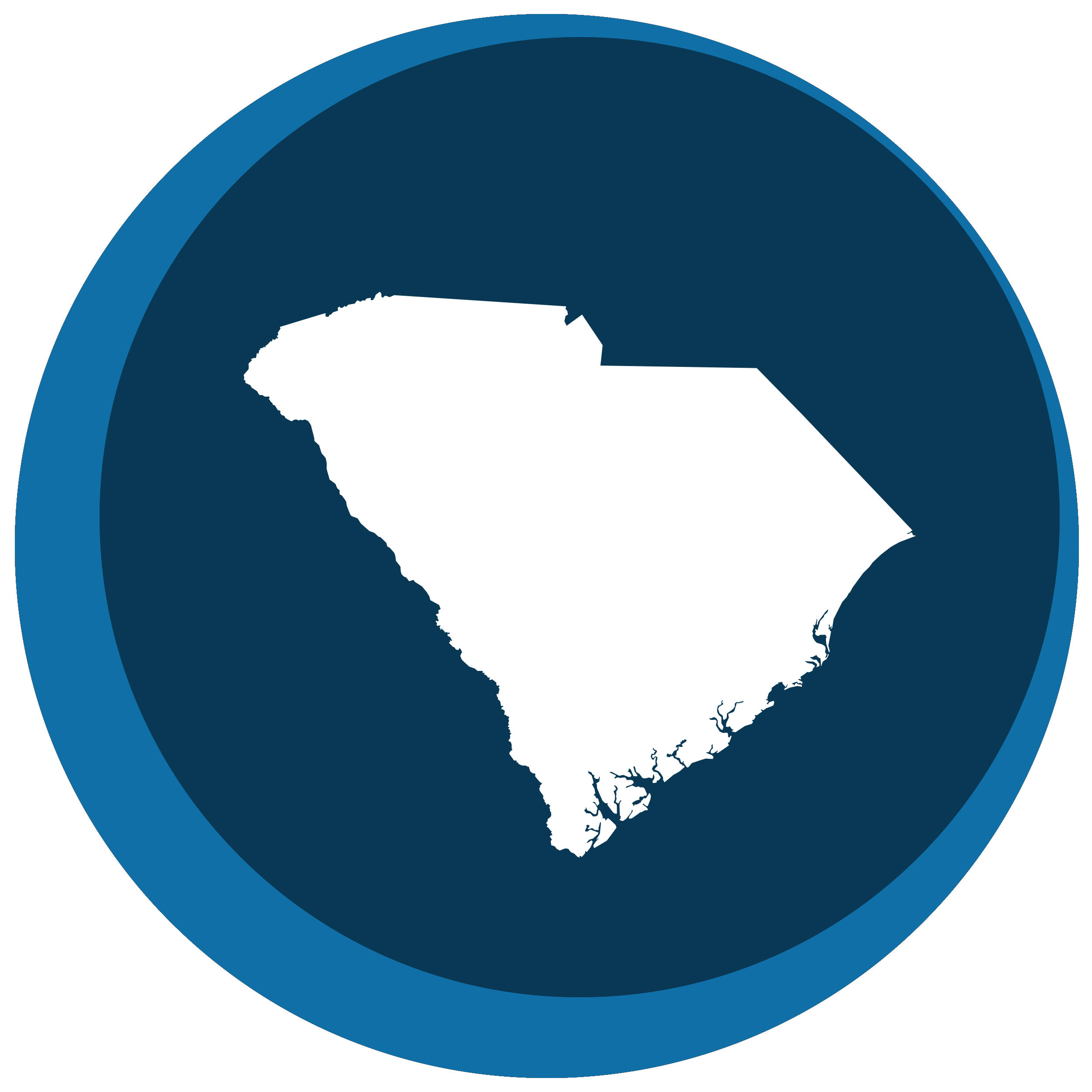 South Carolina state shape in a circle