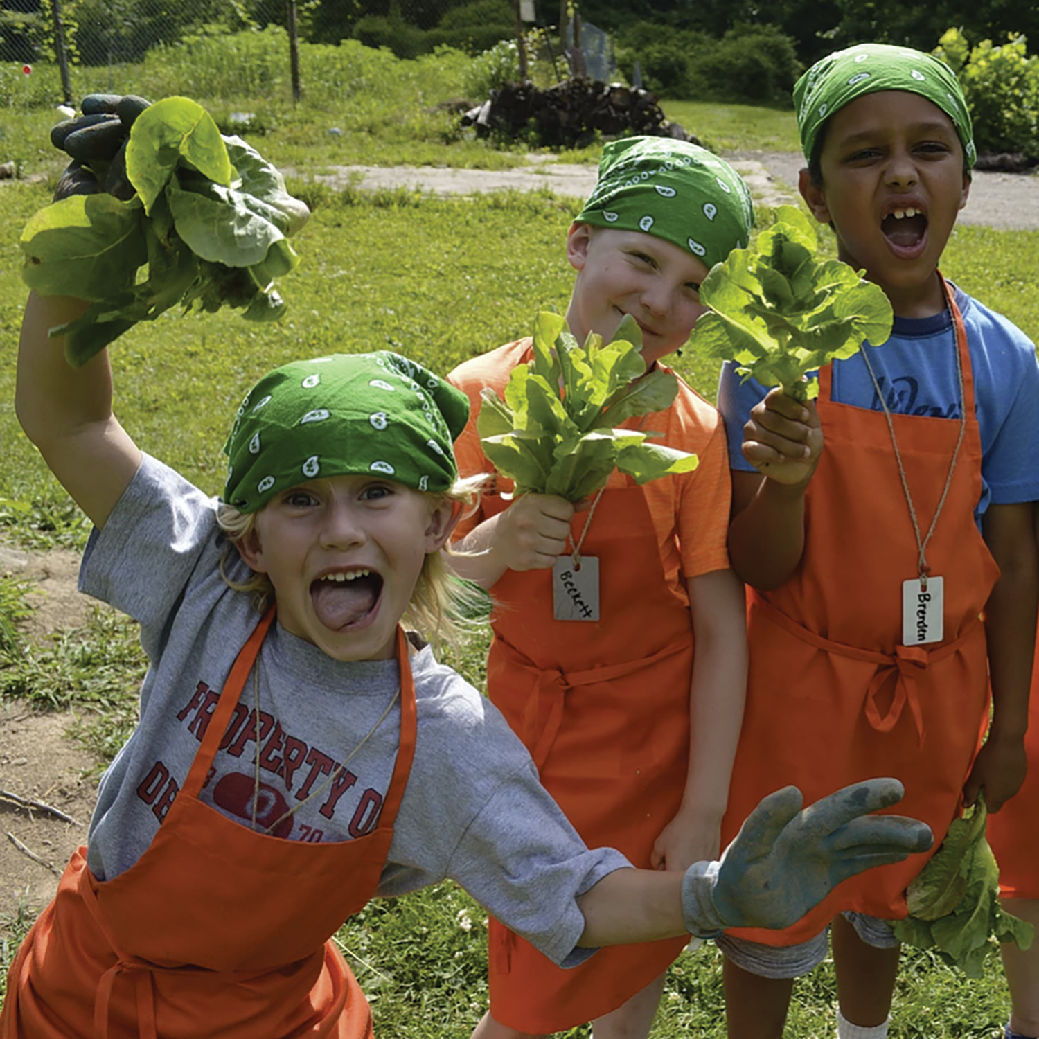 three children in aprons and bandana hold lettuce they picked outside