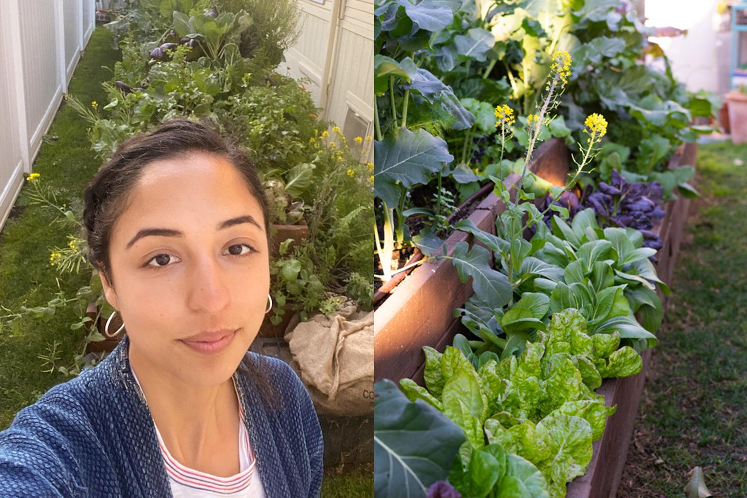 a woman standing in front of a long, narrow garden next to a building, and a close up of plants in a garden bed