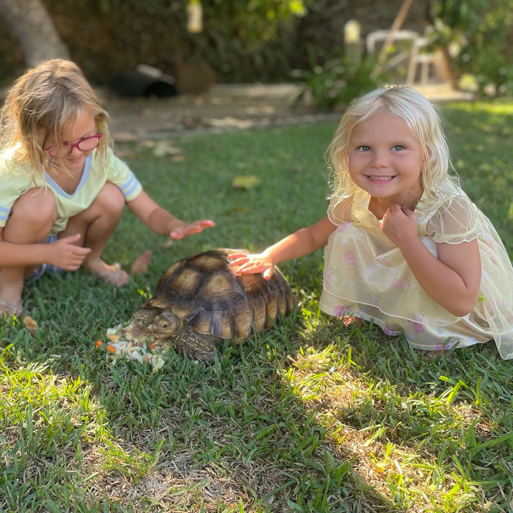 two young girls sitting on grass petting a large turtle