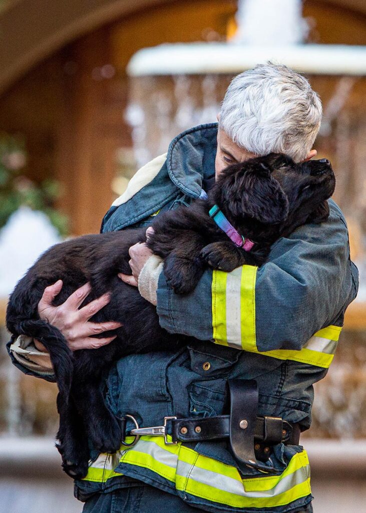 a man in a firefighter's jacket carries a dog to safety