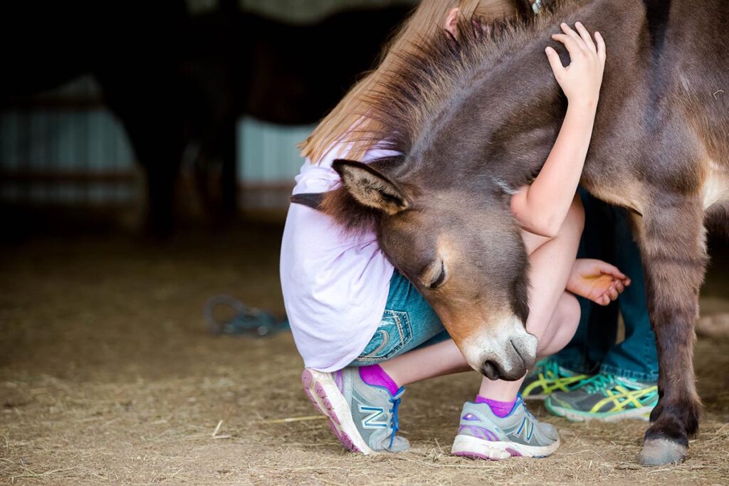 a girl kneels and embraces a miniature horse