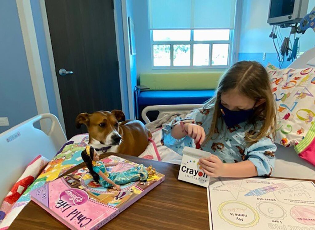 a girl sitting in a hospital bed next to a small dog pulls crayons out of a box