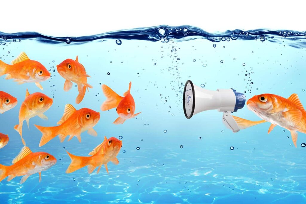 a goldfish underwater with a megaphone talking to a group of goldfish