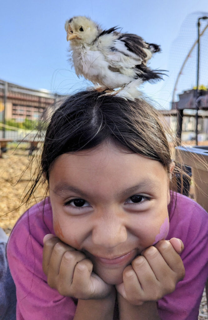 a child with a baby chick sitting on her head