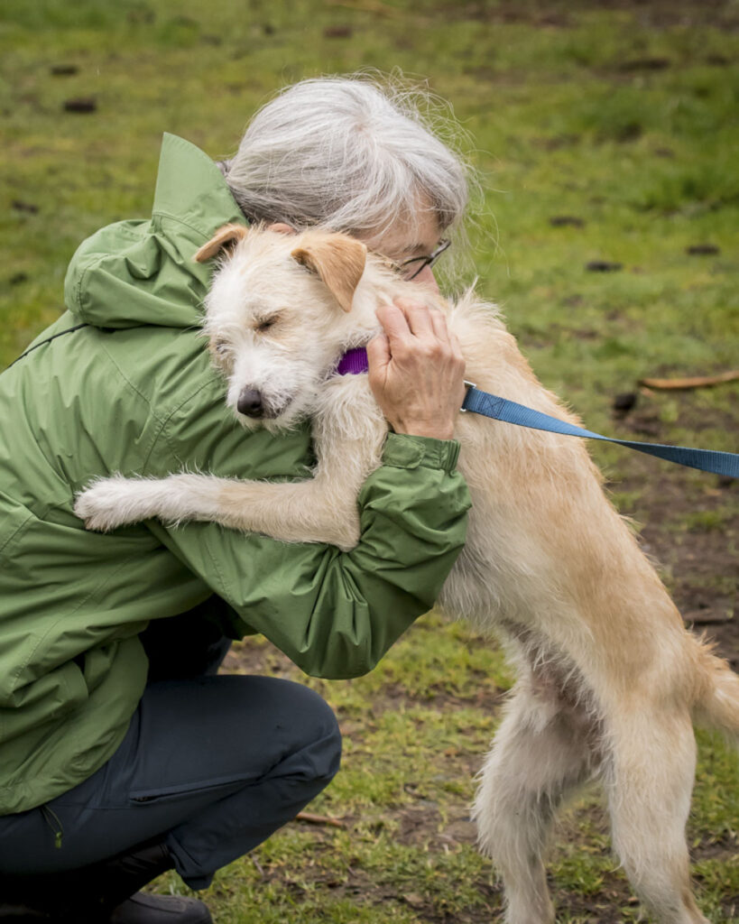 a person hugs a dog in a grassy area