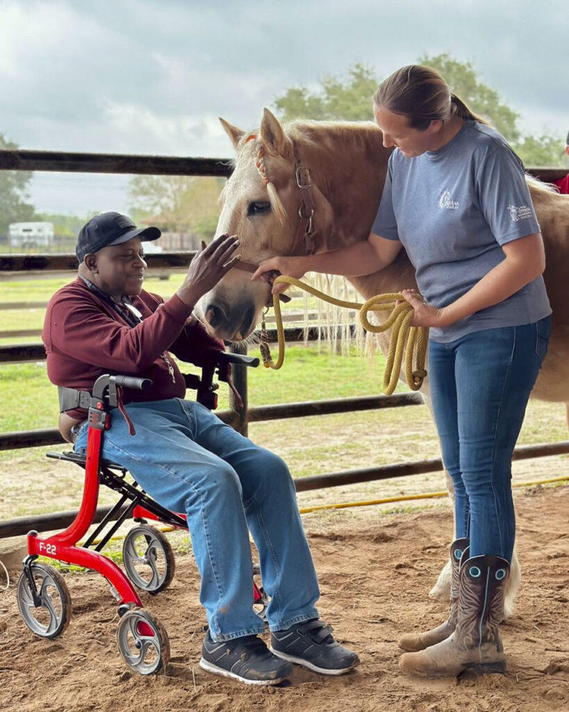 a person guides a horse to allow a person in an assistive walking device to pet the horse