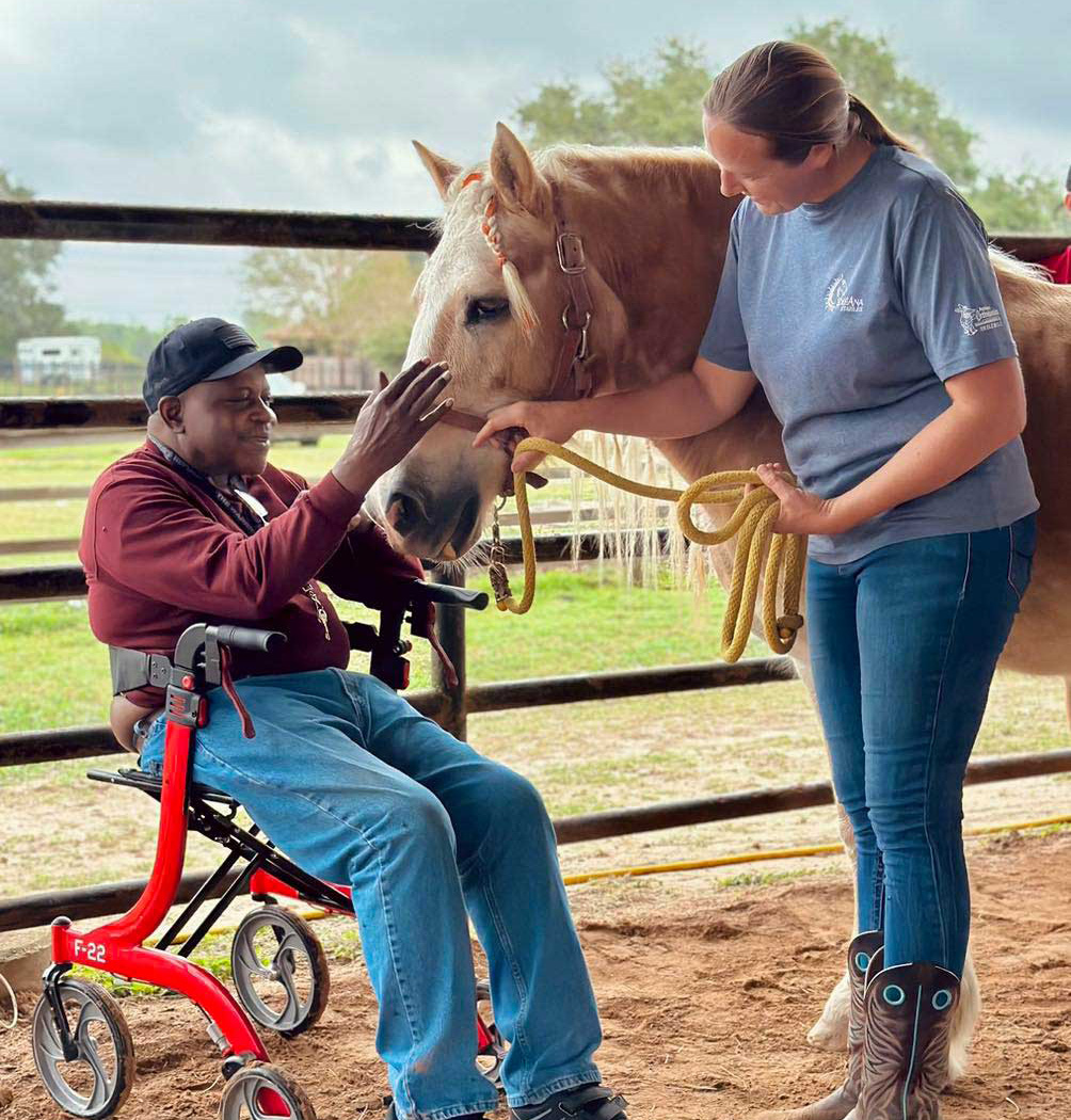 two people and a horse