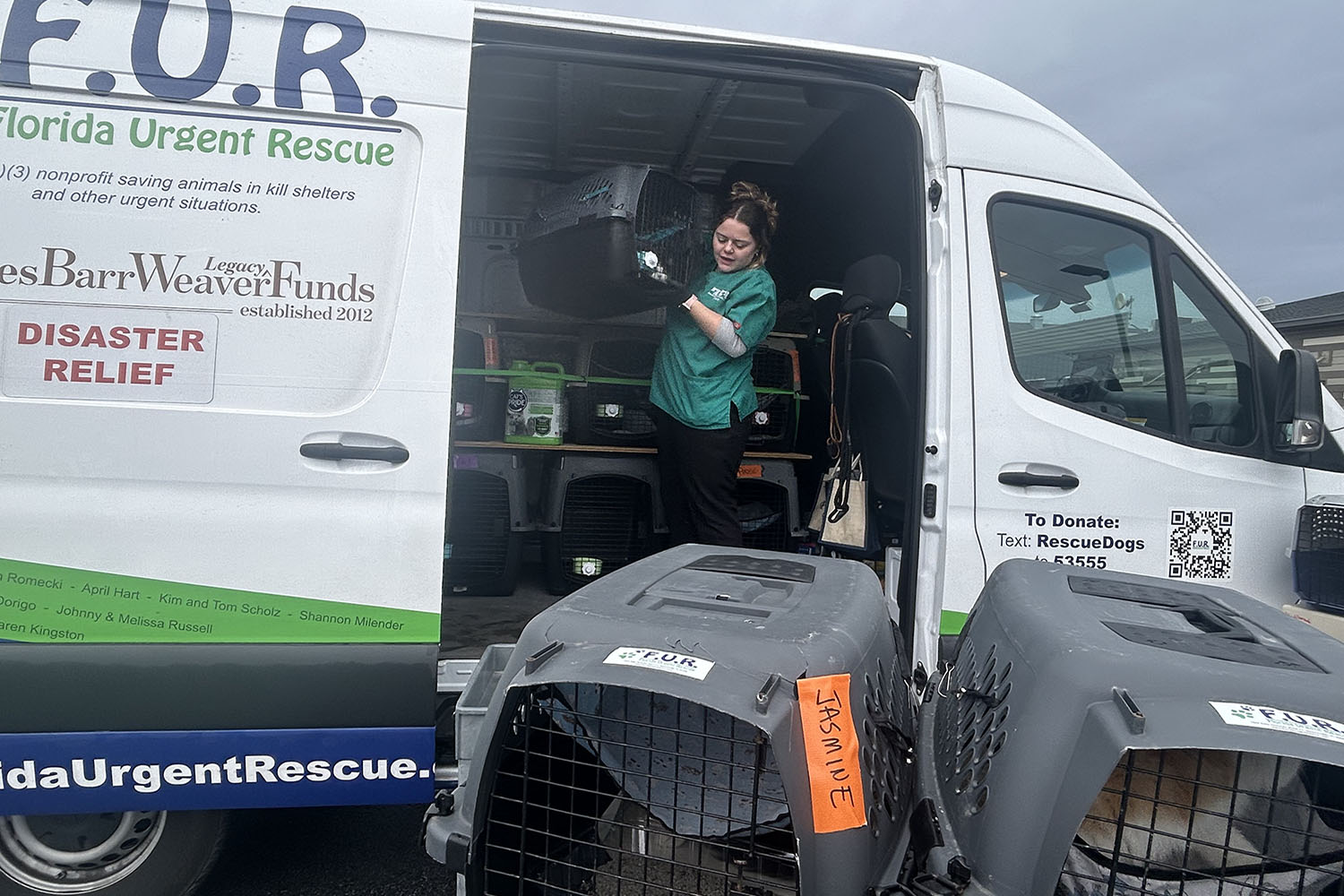 a [erspm im;padomg dog crates from a rescue van