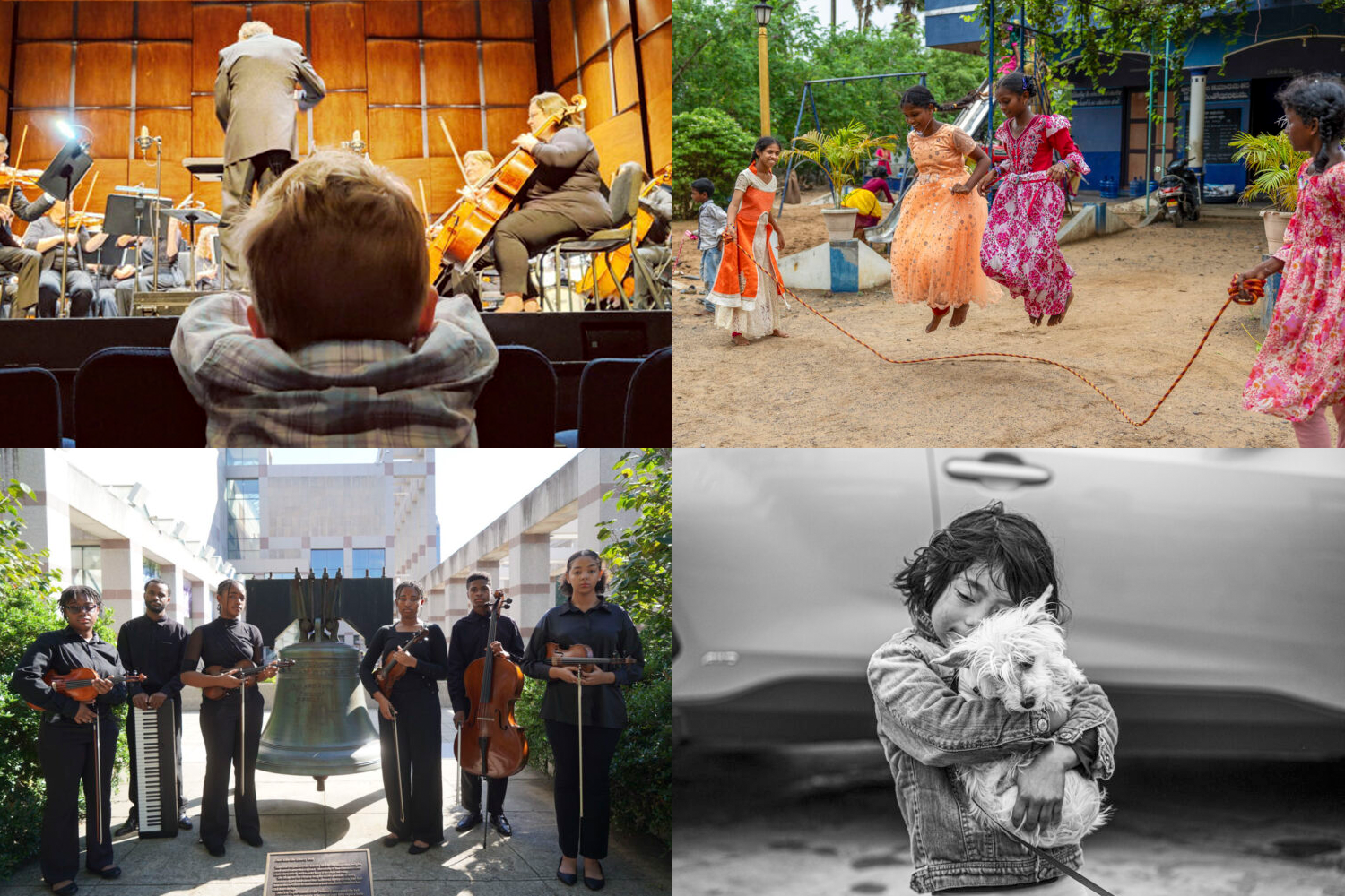 2024 photo contest winners