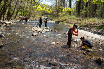 people cleaning trash out of a stream