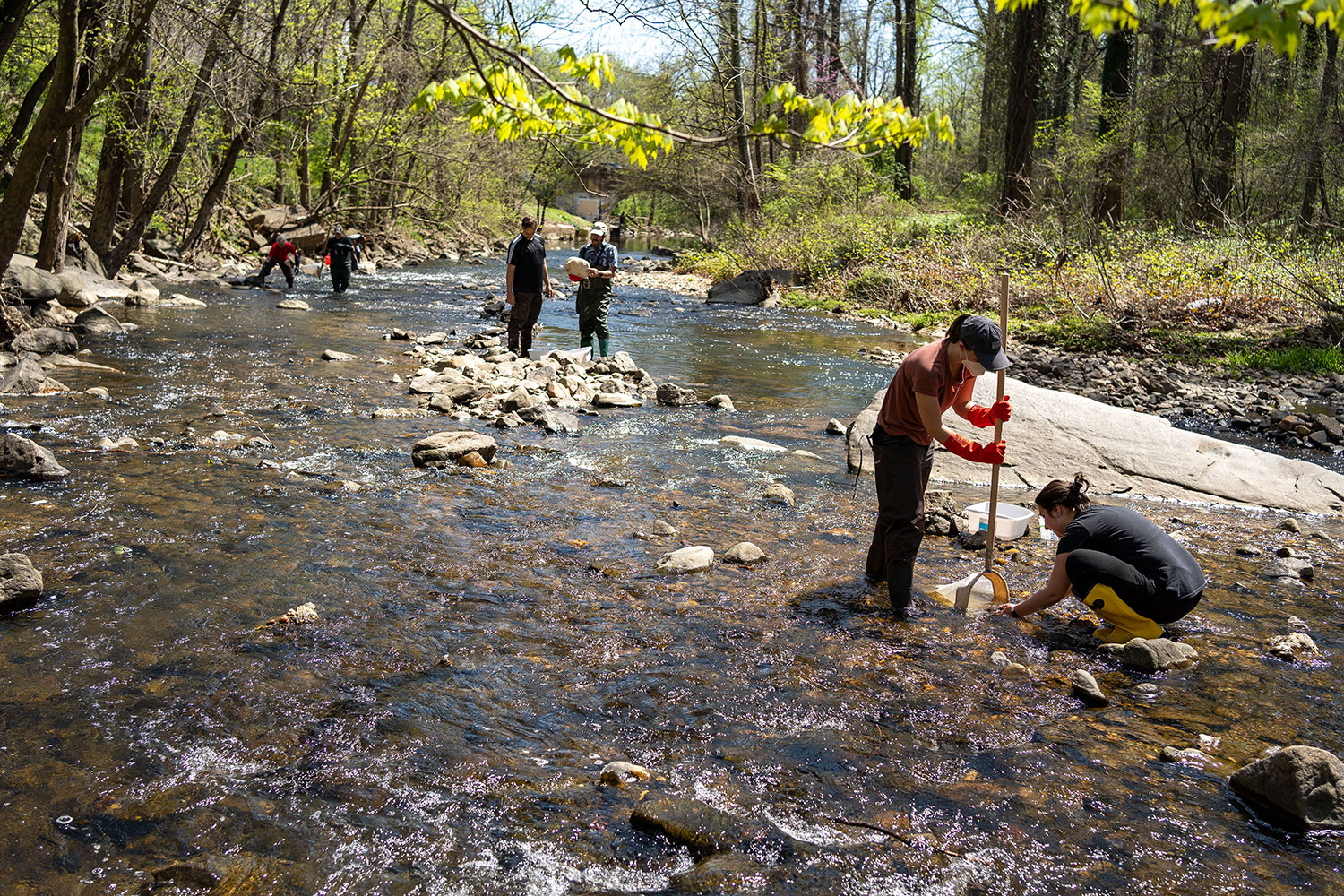 people cleaning trash out of a stream