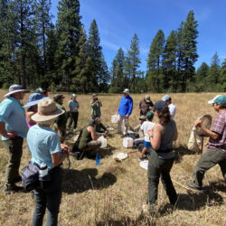 people with hats and nets in a field