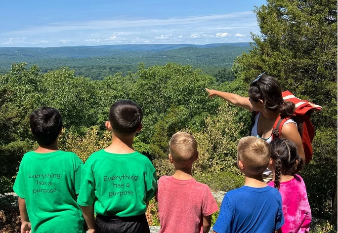 children and an adult looking at a view of trees
