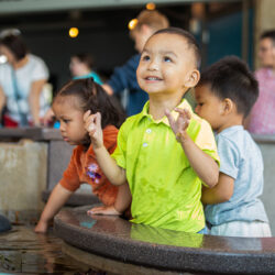 a child enjoys a tide pool exhibit with other people in background