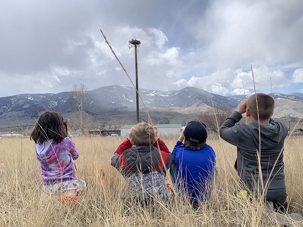 4 children looking at a birds nest through binoculars