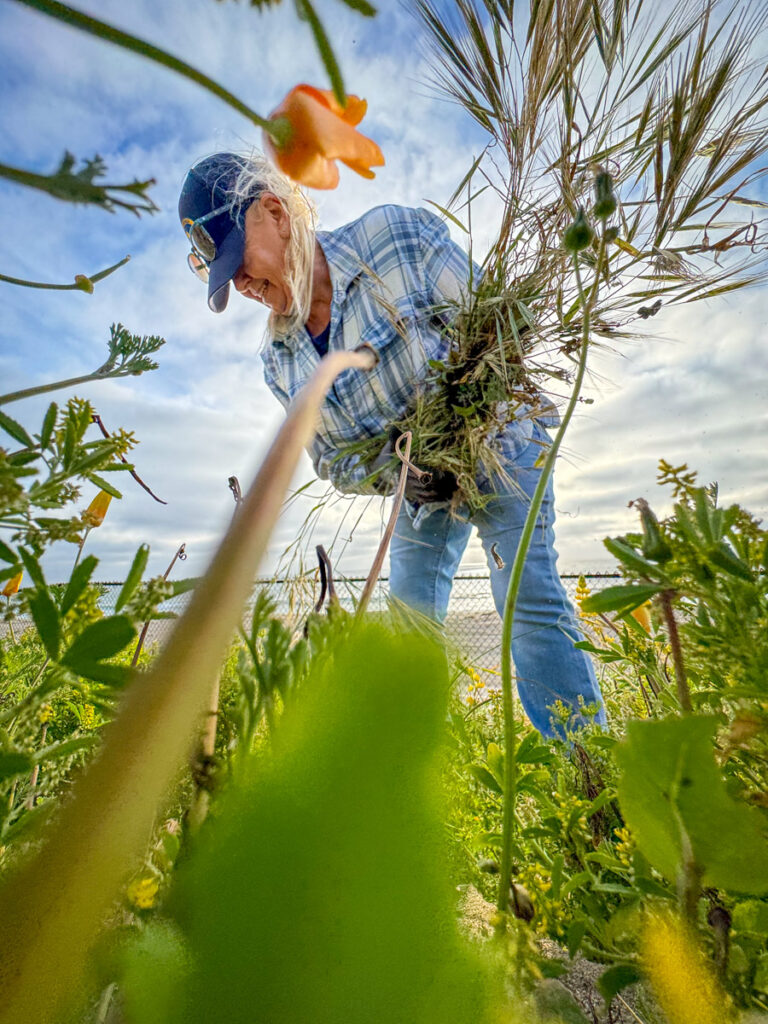 A person farming in a field