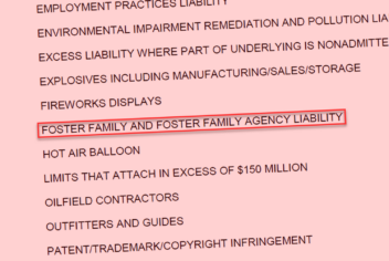 Part of California's Export List. Foster Family Agency Liability is listed between Fireworks Displays and Hot Air Balloons.