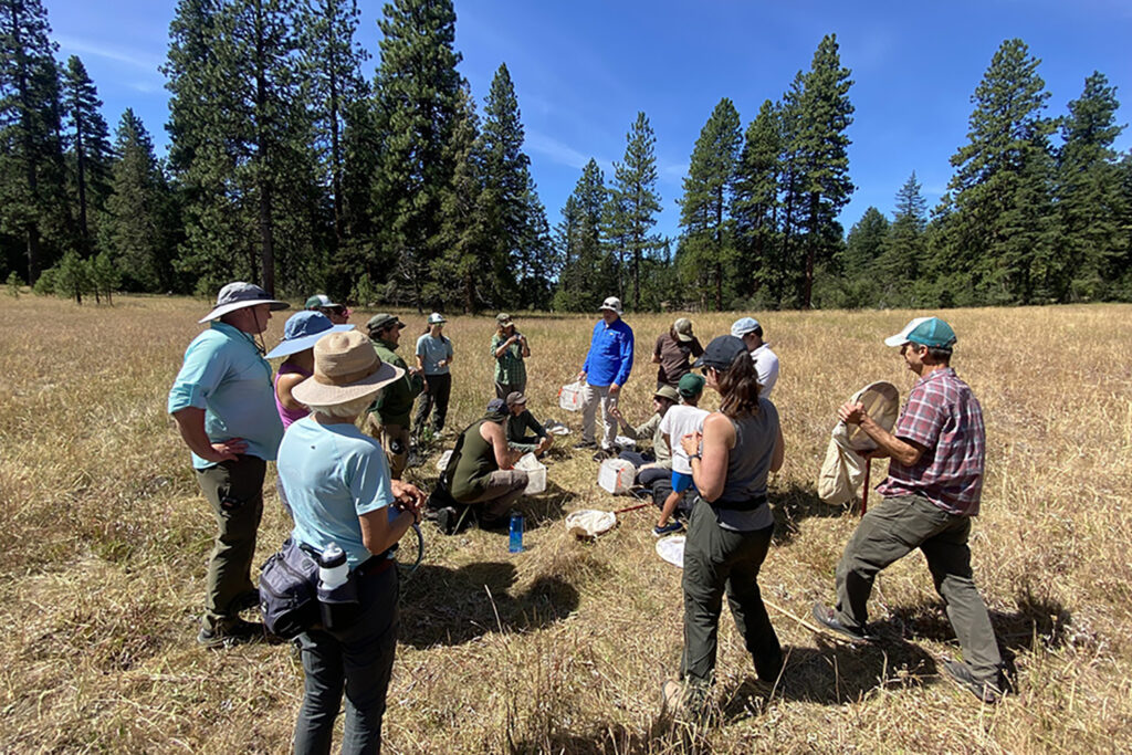 a group of people with nets in a field