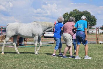 People walking with a horse